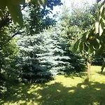 Ovari