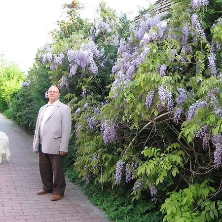 Ovari Bük