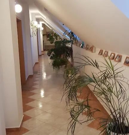 Pensión Ovari Bük